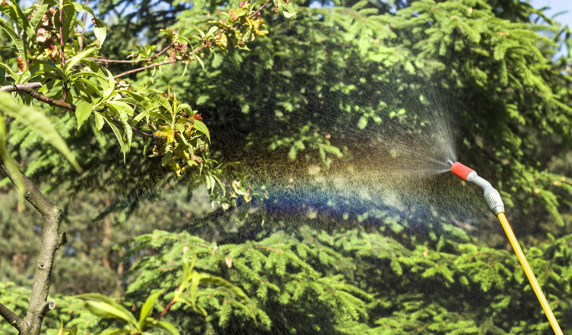 plant-health-care-image-3