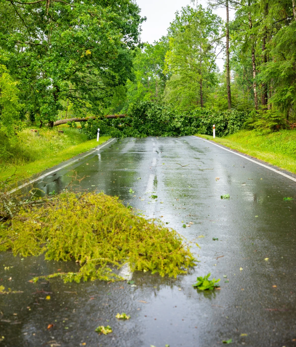 storm-damage-image-5
