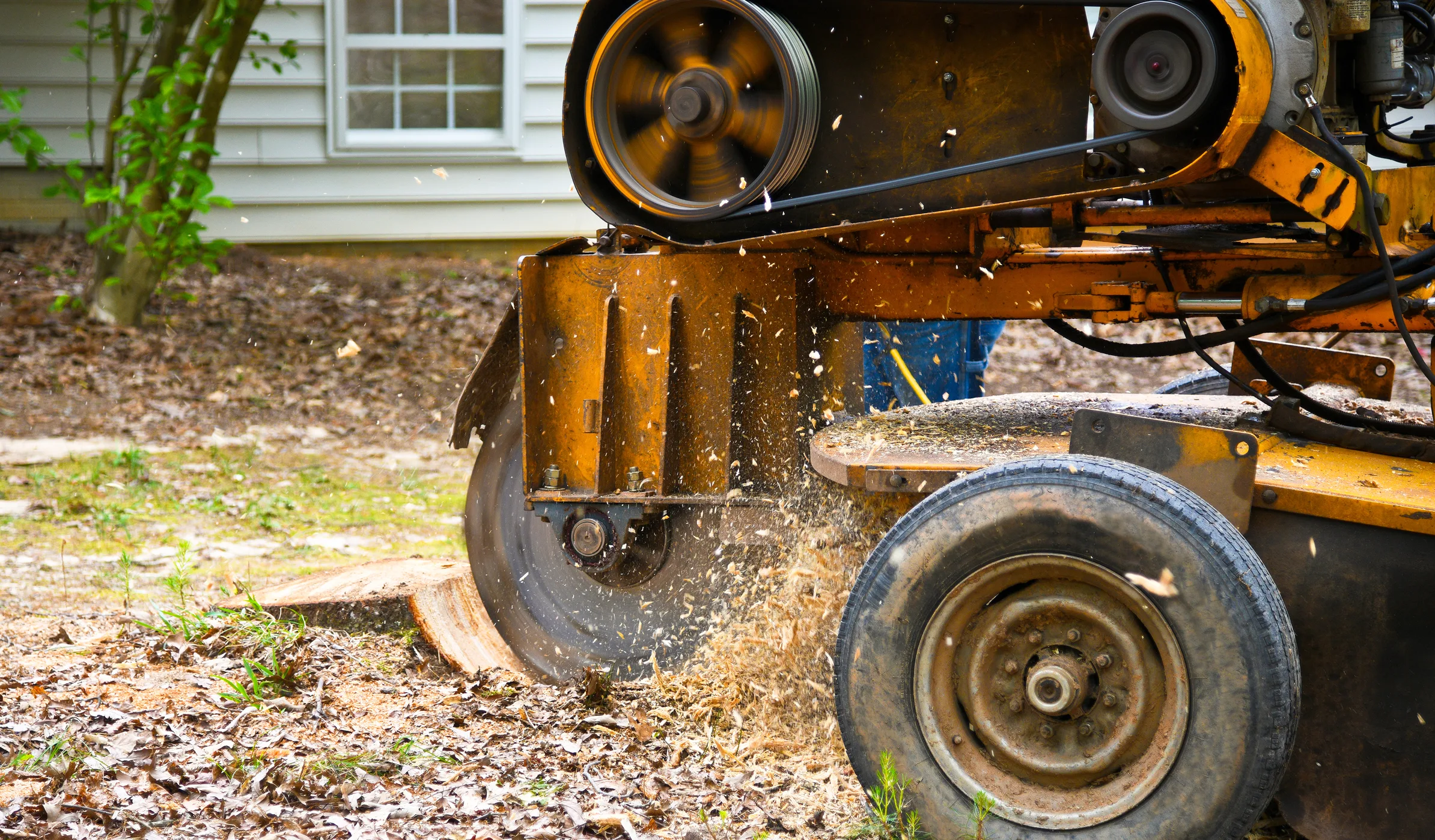 stump-removal-image-3