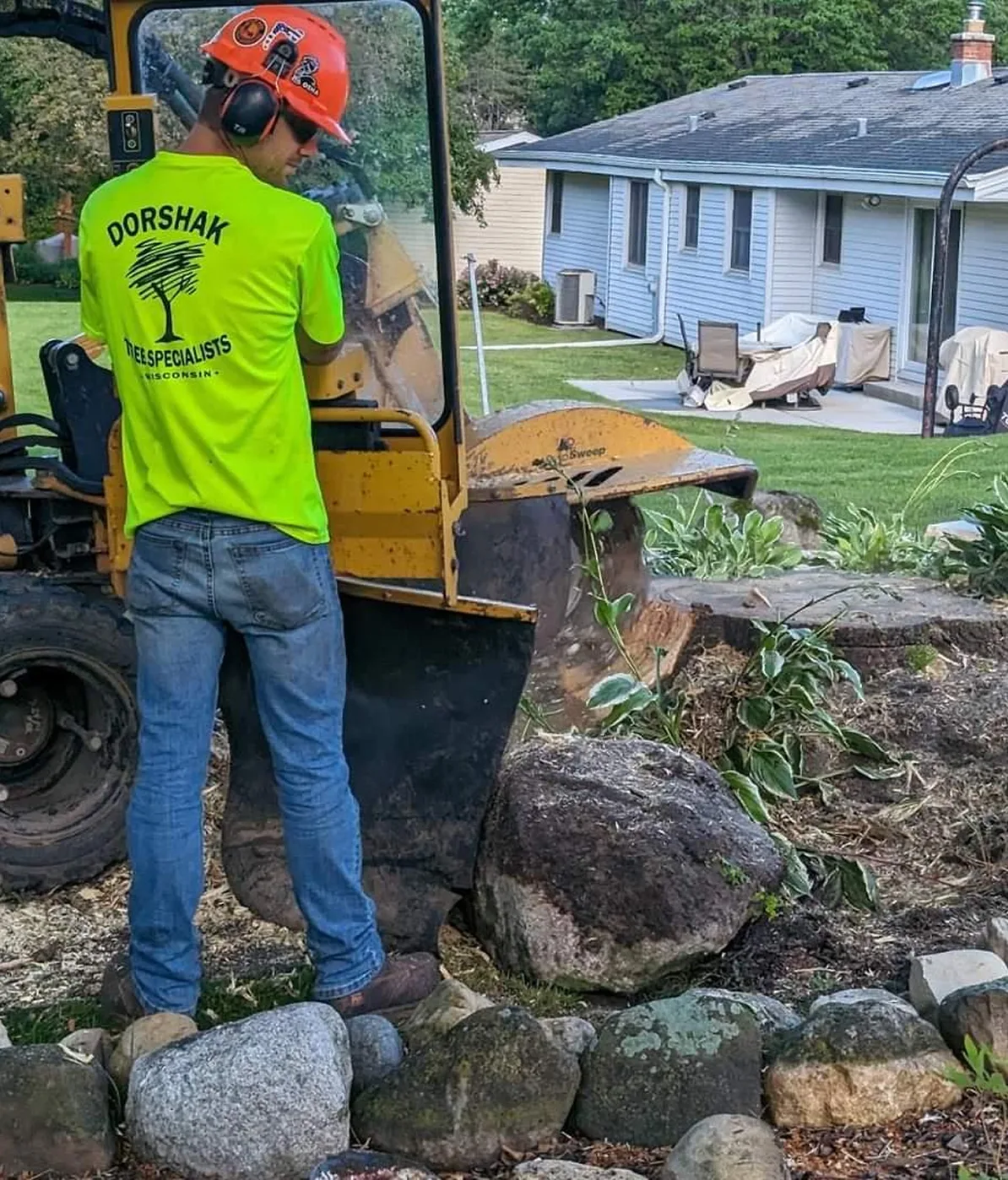 stump-removal-image-4