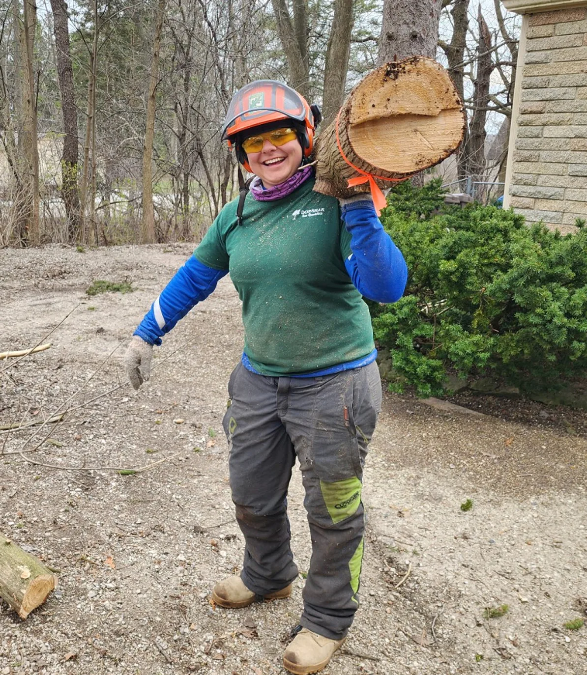 tree-removal-image-5